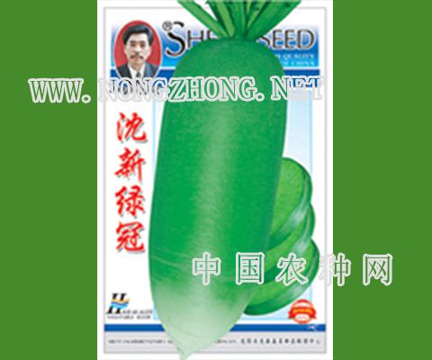 沈新绿冠